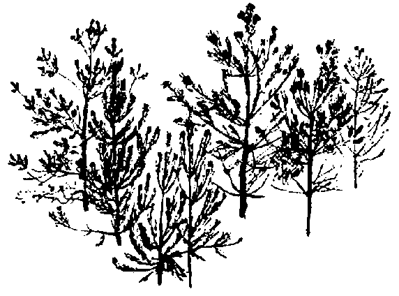 Зовут его Валерка - i_008.png