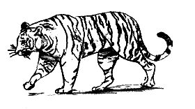 Парящий тигр - i_004.png