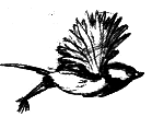 Парящий тигр - i_046.png