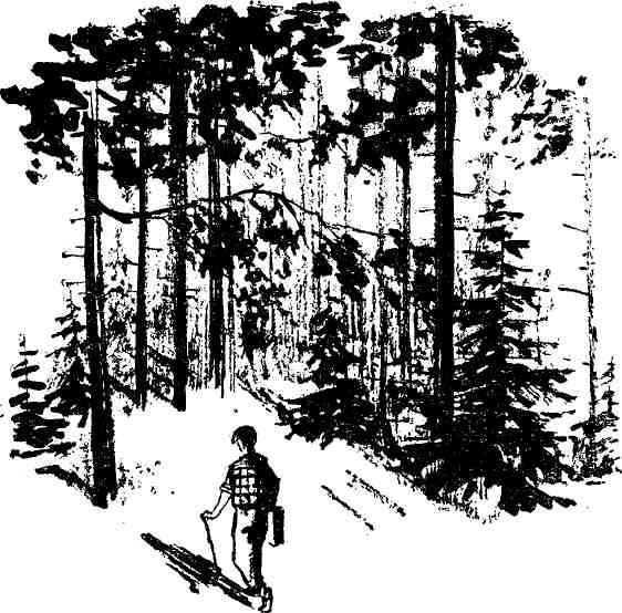 Маэстро Воробышек - img_40.jpeg