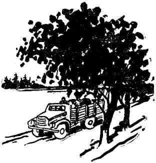 Маэстро Воробышек - img_9.jpeg