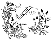 Дикий лес - i_010.png