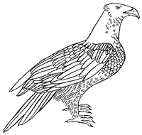 Дикий лес - i_016.png