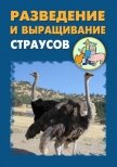 Разведение и выращивание страусов - Мельников Илья