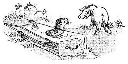 Новые истории про Винни-Пуха - i_123.jpg