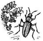 Новые истории про Винни-Пуха - i_207.jpg