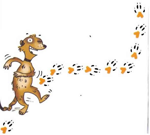 Сурикаты-сумасброды. Невероятно смешные приключения в пустыне - i_002.jpg