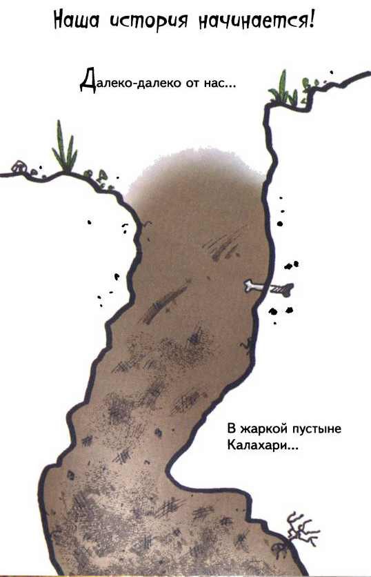 Сурикаты-сумасброды. Невероятно смешные приключения в пустыне - i_006.jpg