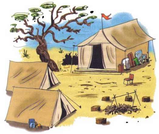 Сурикаты-сумасброды. Невероятно смешные приключения в пустыне - i_011.jpg