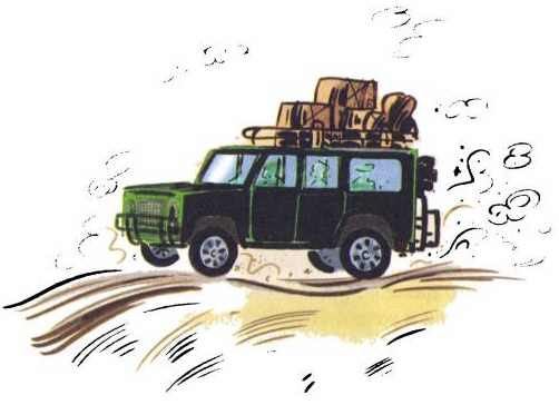 Сурикаты-сумасброды. Невероятно смешные приключения в пустыне - i_012.jpg