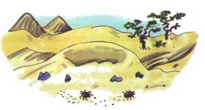 Сурикаты-сумасброды. Невероятно смешные приключения в пустыне - i_015.jpg