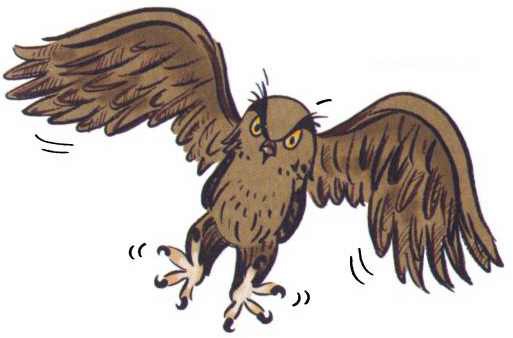 Сурикаты-сумасброды. Невероятно смешные приключения в пустыне - i_019.jpg