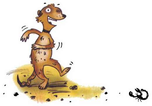 Сурикаты-сумасброды. Невероятно смешные приключения в пустыне - i_027.jpg