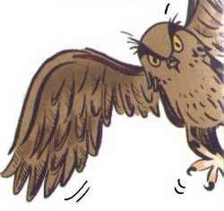 Сурикаты-сумасброды. Невероятно смешные приключения в пустыне - i_028.jpg