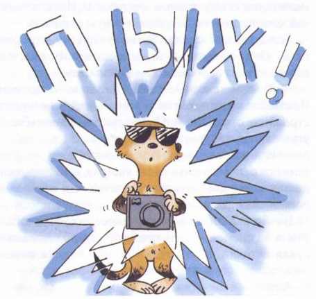 Сурикаты-сумасброды. Невероятно смешные приключения в пустыне - i_044.jpg