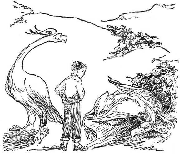 Дэвид и Феникс - _11.jpg