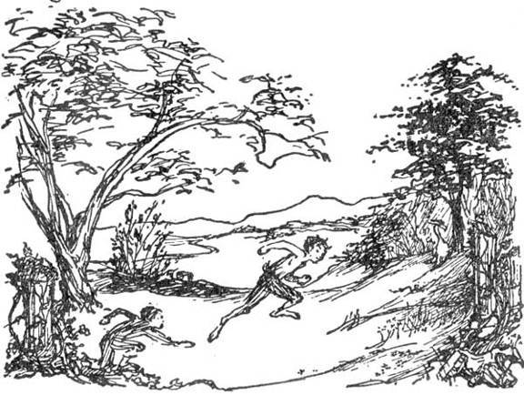 Дэвид и Феникс - _29.jpg