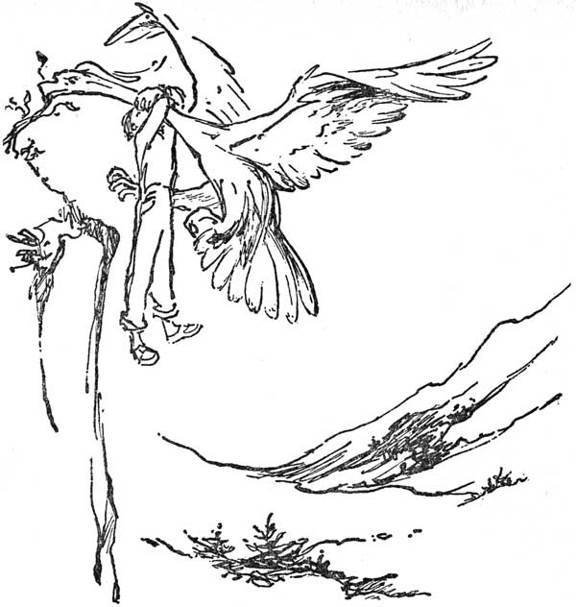 Дэвид и Феникс - _8.jpg