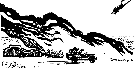 Жизнь такая, как надо: Повесть об Аркадии Гайдаре - p206.png