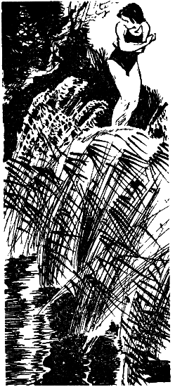 Зона действия - i_003.png