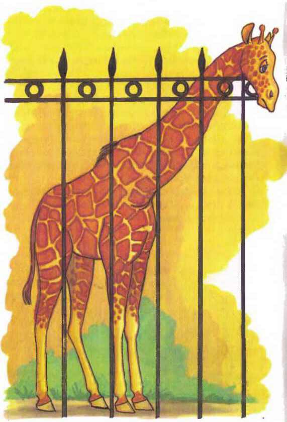 Дед Мороз и лето - i_052.jpg