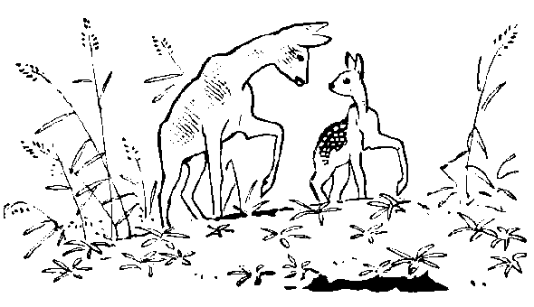 Окаменевшие волки - i_012.png