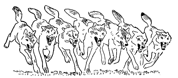 Окаменевшие волки - i_022.png