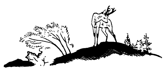 Окаменевшие волки - i_023.png