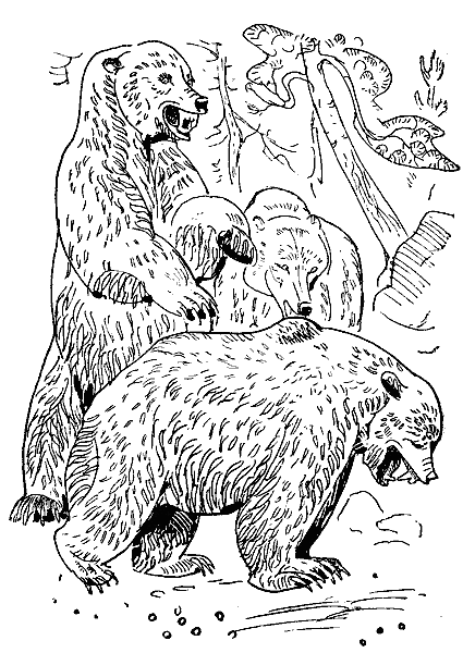 Окаменевшие волки - i_025.png