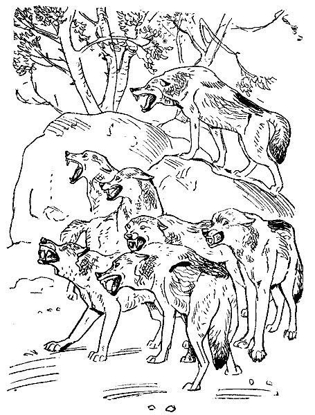 Окаменевшие волки - i_026.png