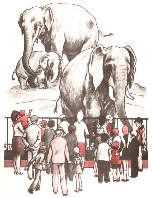 Тайные шефы - img_5.jpg