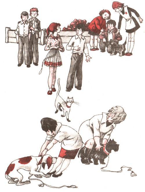 Тайные шефы - img_25.jpg