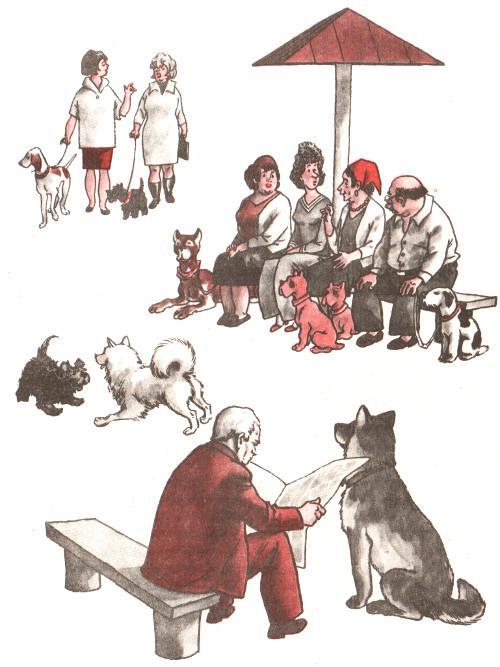 Тайные шефы - img_31.jpg