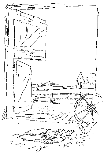 Бег на трех ногах - img02.png