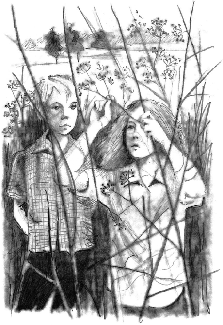 Ворон, колдунья и старая лестница - i_002.png