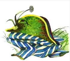 Лягушачий замок - i_036.png