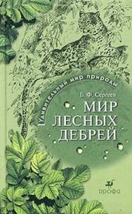 Мир лесных дебрей - Сергеев Борис Федорович