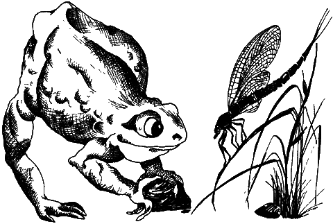 С вечера до утра - i_007.png