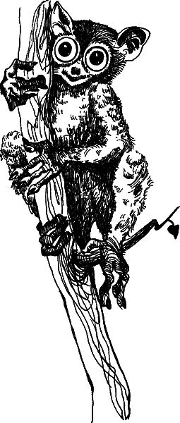 С вечера до утра - i_019.png