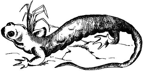 С вечера до утра - i_033.png