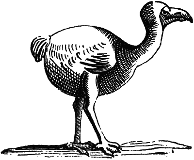 Почему панда стоит на голове и другие удивительные истории о животных - i_018.png