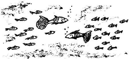 Почему панда стоит на голове и другие удивительные истории о животных - i_019.png