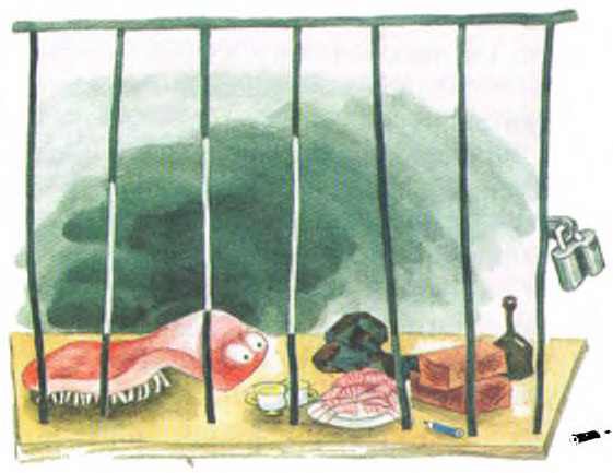 Таинственный гость из космоса - i_009.jpg