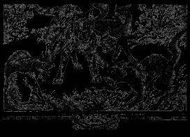 Долгое эхо - _13.jpg