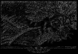 Долгое эхо - _16.jpg