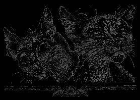 Долгое эхо - _28.jpg