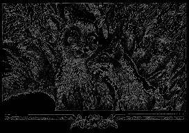 Долгое эхо - _35.jpg