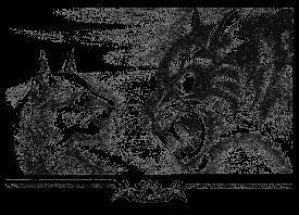 Долгое эхо - _37.jpg