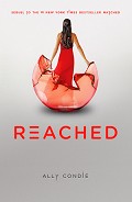 Серия книг Обрученные #3