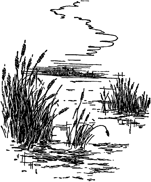 Загадки материков и океанов - i_093.png